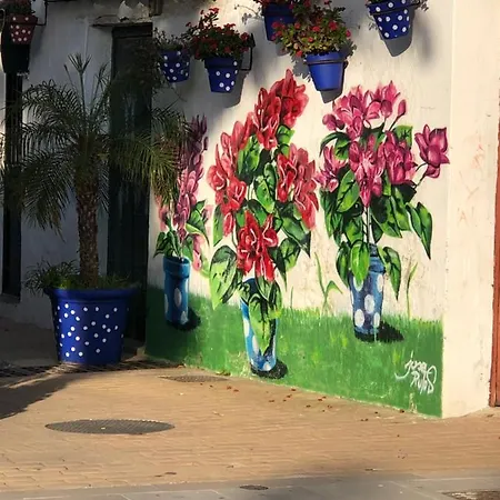 Alojamiento En Daire Estepona